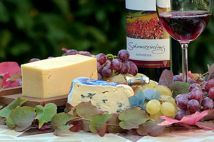 Cheers to Cheese: Finding Your Perfect Wine Match 