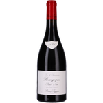 Remi Seguin Bourgogne Pinot Noir 2021