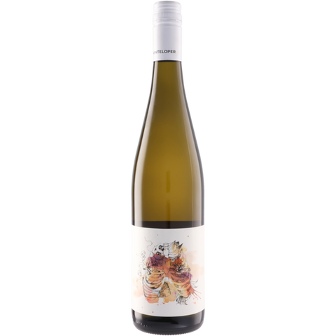 Vinteloper Vinteloper Pinot Gris 2024