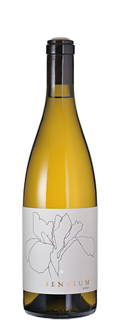 Sentium	Sauvignon Blanc Mendocino 2022