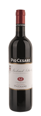 Pio Cesare Barbera d’Alba D.O.C. 2022